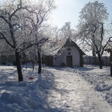 Thomafischer *